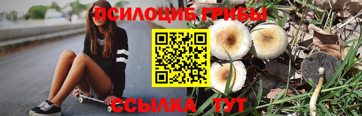 Подольск  Галлюциногенные грибы Psilocybe  где найти наркотики  Галлюциногенные грибы ЛСД  Вход с VPN 